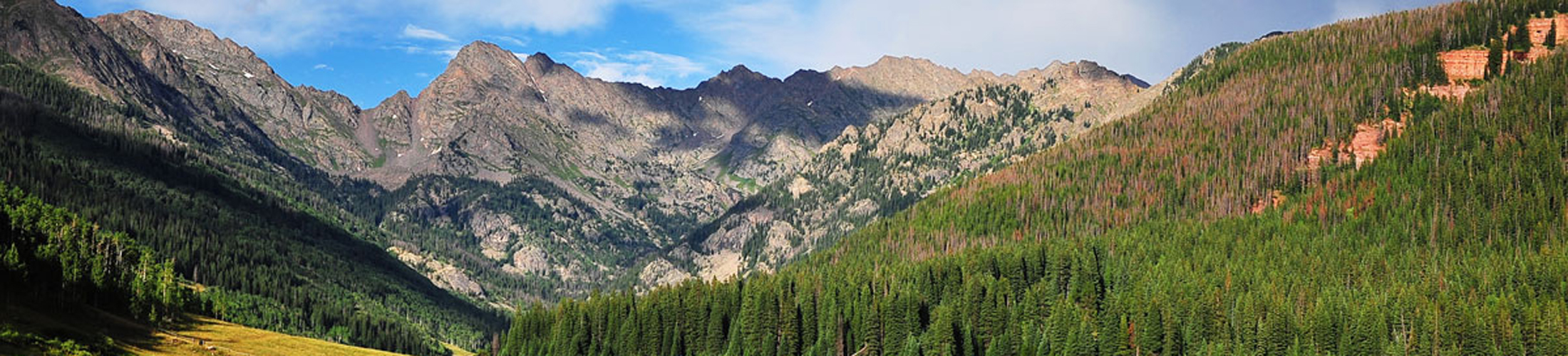 Header Image